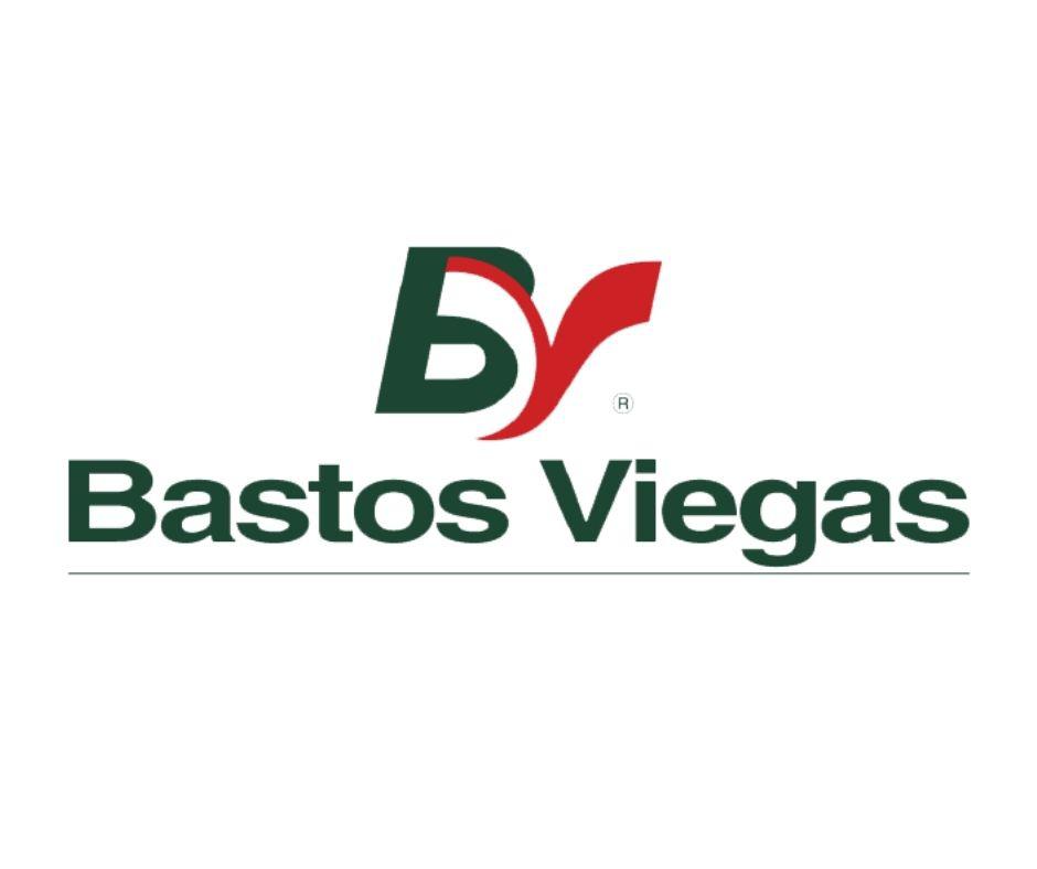 Bastos Viegas